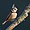 Stub icon
