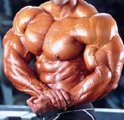 Muscle contraction.PNG