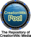 Wiki.png