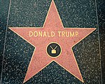 A red star with a bronze outline and "Donald Trump" and a TV icon written on it in bronze, embedded in a black terrazzo sidewalk