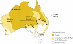 Dingo-Distribution-Fleming.png