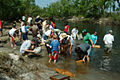 Thumbnail for version as of 22:36, 5 January 2009
