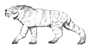 Ennedi tiger.svg