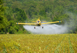 Crop dusting.jpg
