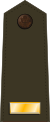 US Army O1 (Army greens).svg