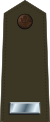 US Army O2 (Army greens).svg