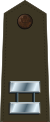 US Army O3 (Army greens).svg