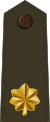 US Army O4 (Army greens).svg