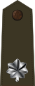 US Army O5 (Army greens).svg