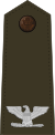 US Army O6 (Army greens).svg