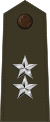 US Army O8 (Army greens).svg