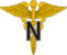 USA - Army Medical Nurse.png
