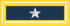 Army-USA-OF-06.svg