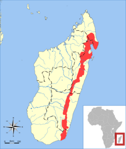 Galidictis fasciata range map.svg