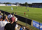 Marsonia-junak15.jpg
