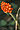 Stub icon