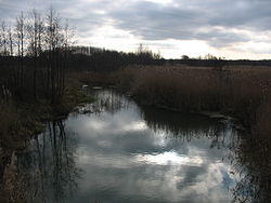 Usman River.JPG
