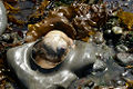 Thumbnail for version as of 23:26, 21 October 2008