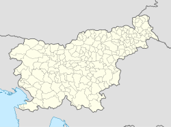 Opalkovo is located in Slovenia