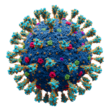 Scientifically accurate atomic model of the external structure of SARS-CoV-2. Each "ball" is an atom.