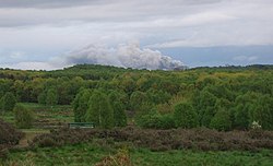 Highgate Common - geograph.org.uk - 13068.jpg