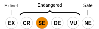 Lang Status 40-SE.svg