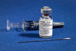 Smallpox vaccine.jpg