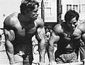 Arnold Schwarzenegger & Franco Columbu.jpg
