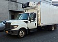 International TerraStar in white.JPG