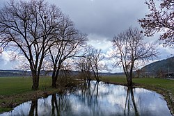 Kesselbach (Danube) near Stetten an der Donau.jpg