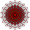 8-simplex t34.svg