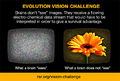 Thumbnail for version as of 03:19, 7 September 2016