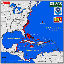 Lionfish range map in 2009.jpg