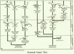 Dino family tree.jpg