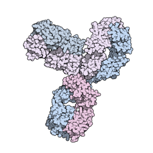 Pembrolizumab 5DK3.png