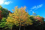 Autumn at Tinkers Creek (2919239393).jpg