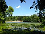 Blue Rock State Park Cutler Lake beach.JPG