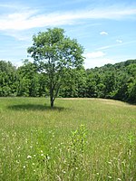 Burr Oak State Park.jpg