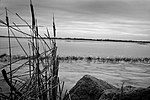 Indian Lake State Park, Ohio (192786966).jpg