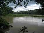Maumee River 2.jpg