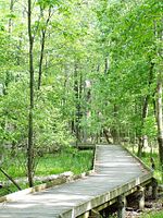 P5250060 MaumeeBaySP NatureCtr (boardwalk).jpg