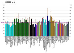 PBB GE ARL4D 203586 s at fs.png
