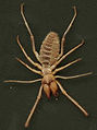 Thumbnail for version as of 01:54, 29 March 2009