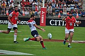 Sunwolves-4i.jpg