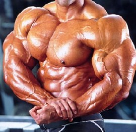 File:Muscle contraction.PNG