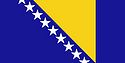 Flag of Bosnia and Herzegovina.jpg