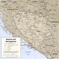Bosnia rel 2002.jpg