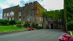 Castell Ffwl-y-mwn.jpg