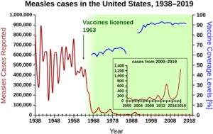 Cases of measles from 1938 to 1963 followed a highly variable epidemic pattern, with 150,000–850,000 cases reported per year. A sharp decline followed after the introduction of the first measles vaccine in 1963, with fewer than 25,000 cases reported in 1968. Outbreaks around 1971 and 1977 gave 75,000 and 57,000 cases, respectively. Cases were stable at a few thousand per year until an outbreak of 28,000 in 1990. Cases declined from a few hundred per year in the early 1990s to a few dozen in the 2000s.