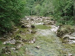 Rio Dobra.jpg
